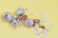 Garlic on yellow background, alternative medicine virus protection concept