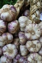 Organic Garlic Cloves Royalty Free Stock Photo