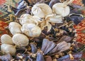 Garlics with dried aubergine for decoraion Royalty Free Stock Photo