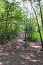 Garlough Park Pole Hole Royalty Free Stock Photo