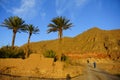 Trekking in a trail surrounding by palm date trees and mountain.