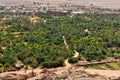 Garmeh oasis in Iran Royalty Free Stock Photo