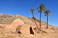 Garmeh oasis in Iran Royalty Free Stock Photo