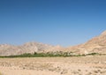 Garmeh oasis in south Iran desert Royalty Free Stock Photo