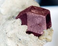 Garnet Almandine on matrix