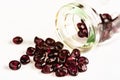 Garnet beads Royalty Free Stock Photo