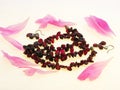 Garnet beads on a white background