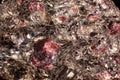 Garnet Mica-Schist sample. Almandine-garnets Crystals interspersed in a massive piece of shale rock Royalty Free Stock Photo