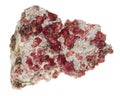 Garnet red Royalty Free Stock Photo