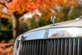 A white Rolls-Royce Ghost sedan car in a residential community with fall foliage in the background