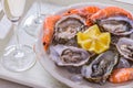 Garnished oysters shell, jumbo shrimp with lemon on ice
