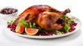 Garnished traditional roasted turkey with fresh figs, pomegranate, and herbs