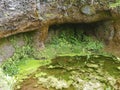 GaroÃÂ© Tree sacred place with holes, El Hierro, Canary Islands, Spain Royalty Free Stock Photo