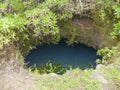 GaroÃÂ© Tree sacred place with holes, El Hierro, Canary Islands, Spain Royalty Free Stock Photo