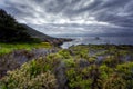 Garrapata State Beach Royalty Free Stock Photo