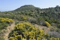 Garrigue habitat above Smigies Royalty Free Stock Photo