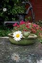 Old beam-pump with flowers on marble top