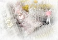 Garter bride background