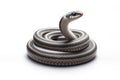 Garter Snake snake isolated on solid white background. ai generative Royalty Free Stock Photo