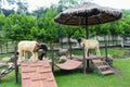 Garut goats in a mini zoo. Royalty Free Stock Photo