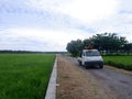 Garut, Indonesia- December 12,2022 :Beautiful landscape growing Paddy rice field two side with long road and mountain