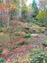 Garvan Woodland Garden Royalty Free Stock Photo