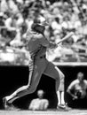 Gary Cater Montreal Expos Royalty Free Stock Photo