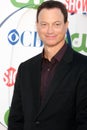 Gary Sinise Royalty Free Stock Photo