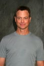 Gary Sinise Royalty Free Stock Photo