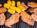 A gas barbeque grill with meat on