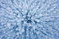 Bubbles in ice. Baikal lake. Winter texture Royalty Free Stock Photo