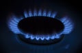 Gas Burner Royalty Free Stock Photo