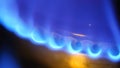 Gas burner and blue flame close-up. Gas shortages and purchases. gas savings.