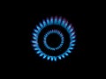 Gas burner flames Royalty Free Stock Photo