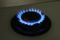 Gas burner of modern stove with burning blue flame Royalty Free Stock Photo