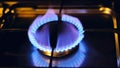 Gas burning. Gas burner and blue flame.Household gas consumption