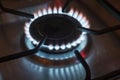 The gas is burning, the gas-stove burner, the hob in the kitchen Royalty Free Stock Photo