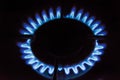 Gas burning on the stove Royalty Free Stock Photo