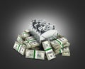 Gas canisters surrounded by 100 dollar bankrolls Concept of gasoline prices Gas canister in pile of money american dollar bills Royalty Free Stock Photo