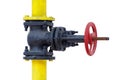 Gas check valve