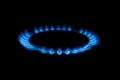 Gas cooker with burning fire propane gas. Blue flames on gas stove burner isolated on black background Royalty Free Stock Photo