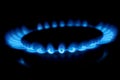 Gas cooker with burning fire propane gas. Blue flames on gas stove burner isolated on black background Royalty Free Stock Photo