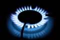 Gas cooker with burning fire propane gas. Blue flames on gas stove burner isolated on black background Royalty Free Stock Photo