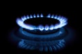 Gas cooker with burning fire propane gas. Blue flames on gas stove burner isolated on black background Royalty Free Stock Photo