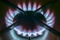Gas cooker flame