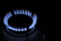 Gas cooktop with burning flame in darkness, closeup. Space for text Royalty Free Stock Photo