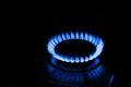 Gas cooktop with burning flame in darkness Royalty Free Stock Photo