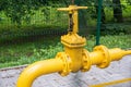 Gas distribution valve