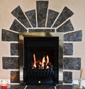 Gas fireplace and surround