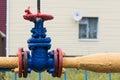 Gas flanged valve with pipe in nature. Royalty Free Stock Photo